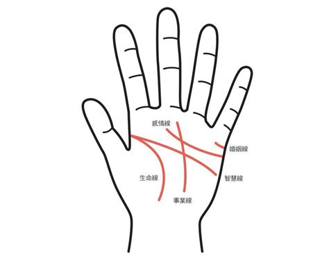 生命線分兩條|手相怎麼看？感情線、智慧線、生命線在哪裡？長度、走向入門解。